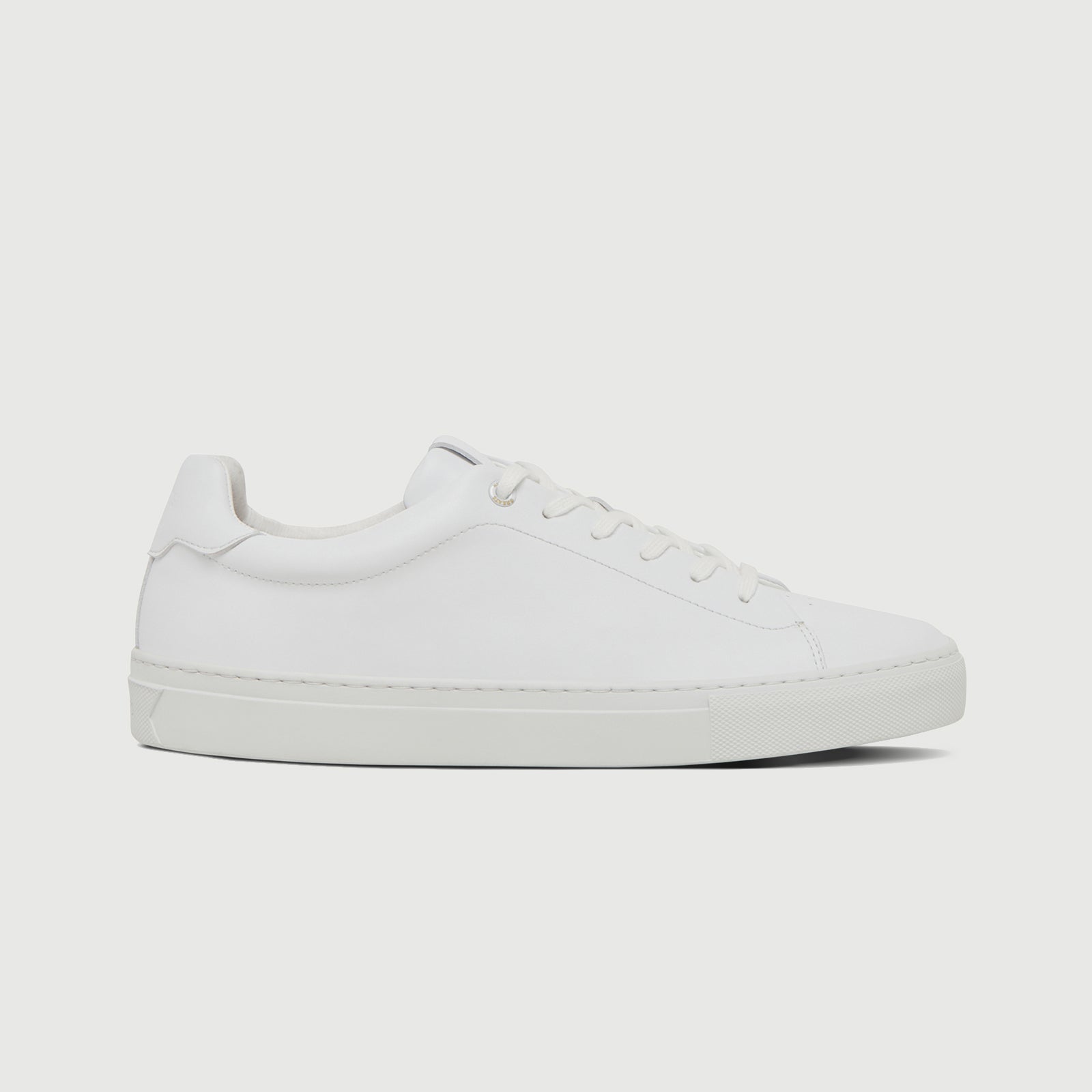 The Regent 2.0 - Blanco